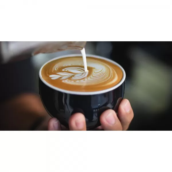 Espresso SAGE BES875BSS + Gril SAGE BGR840