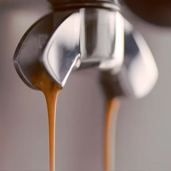 Espresso SAGE BES875BKS + 500 g Káva Pikola